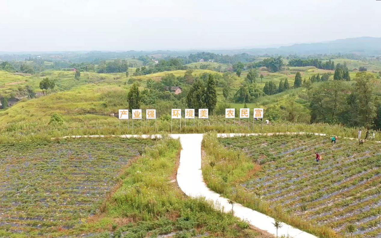 1599791497860520.png 图片8.png