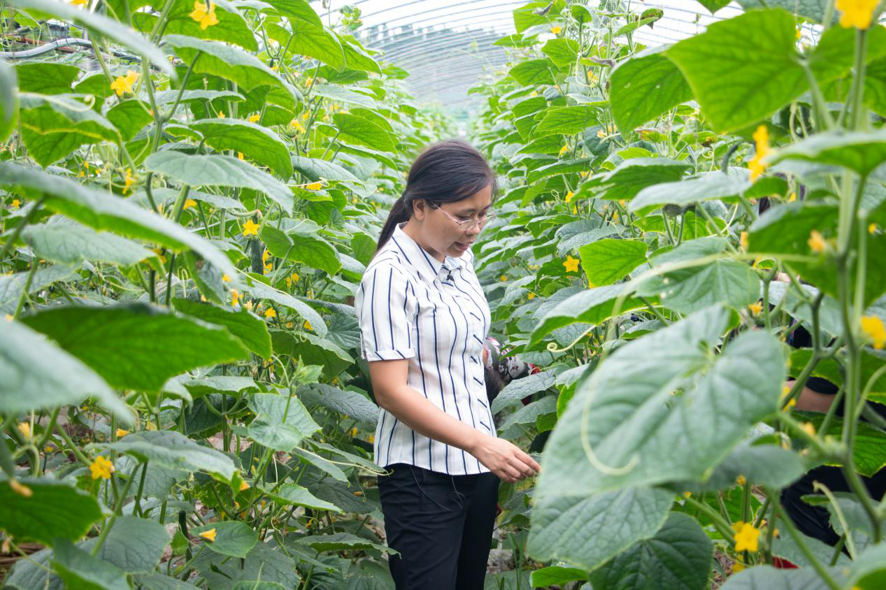 1599791550836067.png 图片10.png