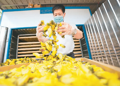 1599858038815616.jpg 1599851808033_1.jpg