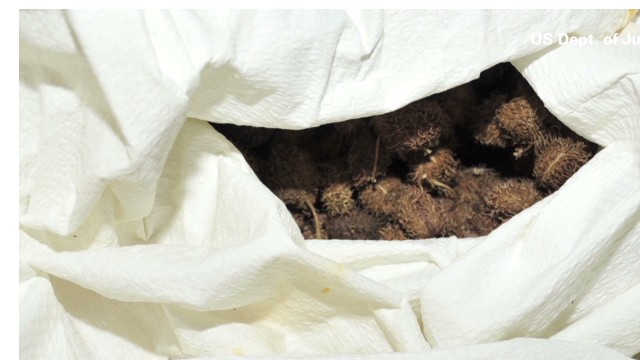 1600643965560127.jpg 130418154906-orig-pkg-cnn-explains-eitm-ricin-00000712-story-top.jpg