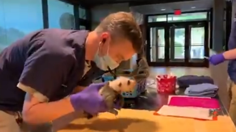 1600739871461052.png 微信截图_20200922095629.png