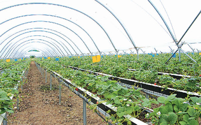 1600808657139152.jpg 1600804354010_1.jpg