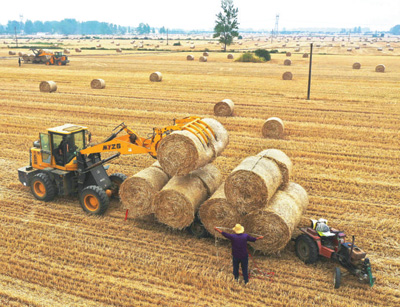 1600826570693283.jpg 7.jpg