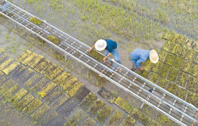 1600826542717911.jpg 6.jpg