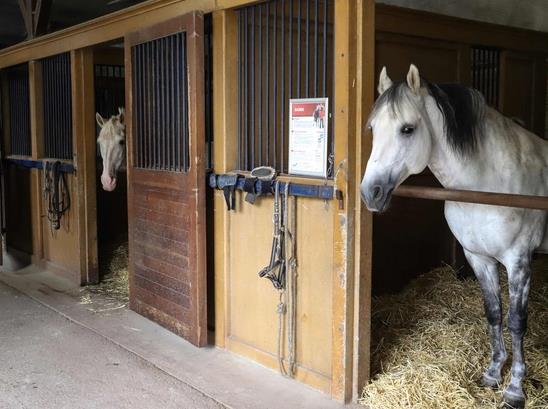 1601349600319970.jpg 微信截图_20200929111849.jpg