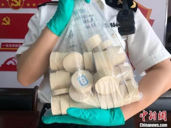 图为海关人员展示查获的象牙。　苏杭　摄
