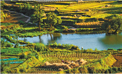 1602212585650766.png image.png