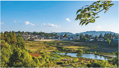 1602212514716991.png image.png