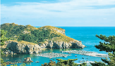 1602620495462677.png image.png