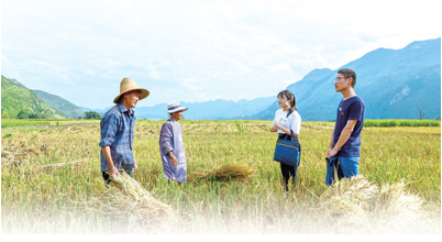 1603155785998590.png image.png