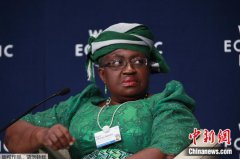 WTO拟推荐尼日利亚候选人任总干事 美方缘何反对