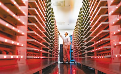 1606082132431242.png image.png