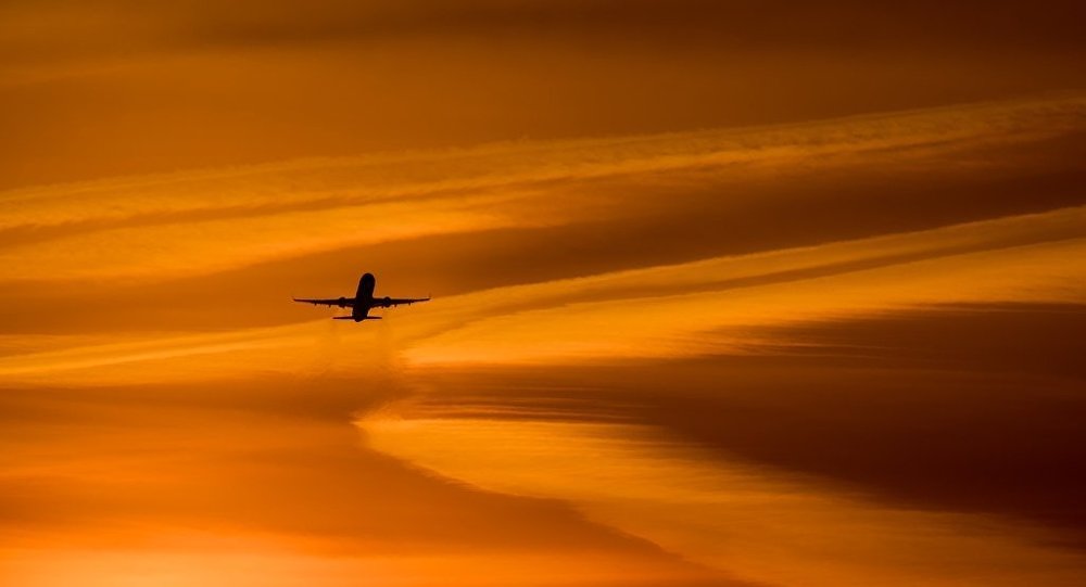 1606383600292898.jpg 1.jpg