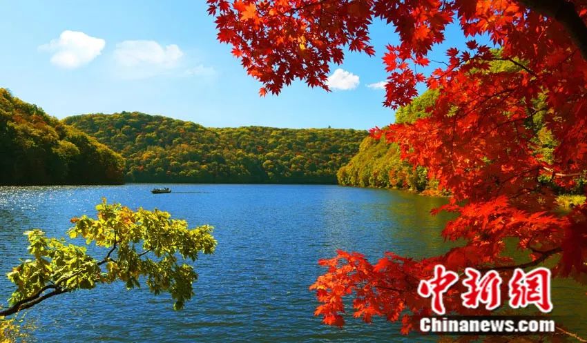 点击进入下一页