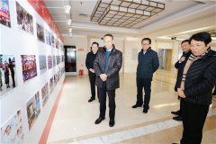 万立骏等观展“全球华侨华人·我的抗疫生活”摄