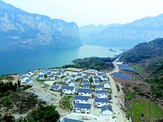 1612707323542016.jpg 04.jpg