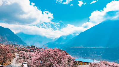 1615756522663325.jpg 1615747957003_1.jpg