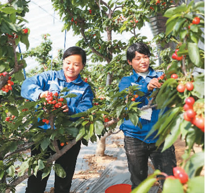 1616707627526943.png image.png