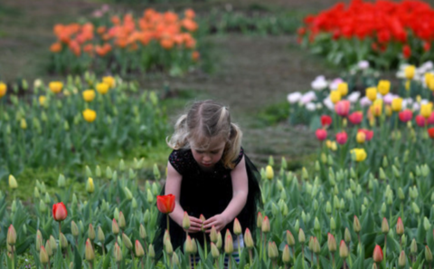 1617667315387584.png 微信截图_20210406080144.png