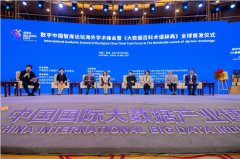 “大数据多语种语言服务全球共享平台”在中国