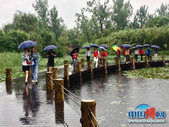 海外华媒走进西昌邛海国家湿地公园。　杨志红 摄