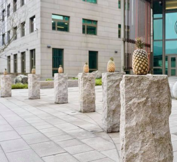 1614736686578123.png 1614736686578123.png