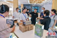 海外华文媒体在琼感受东坡书院文化魅力 领略洋